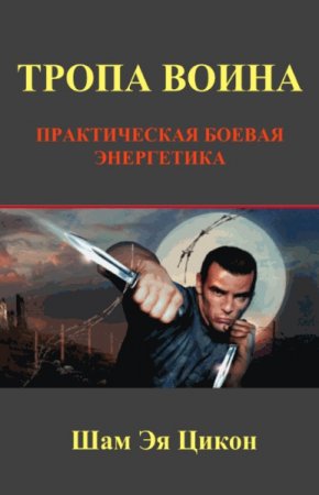 Постер к Тропа воина. Практическая боевая энергетика