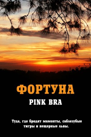 Постер к Фортуна - Pink Bra