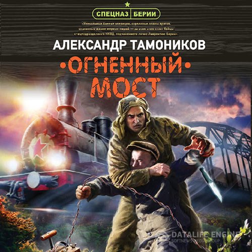 Постер к Александр Тамоников - Огненный мост (Аудиокнига)