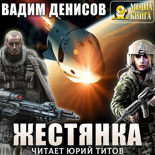 Вадим Денисов - Жестянка (Аудиокнига)