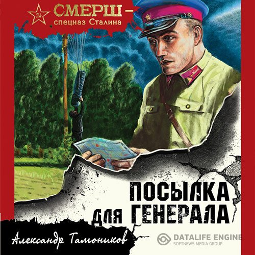 Постер к Александр Тамоников - Посылка для генерала (Аудиокнига)
