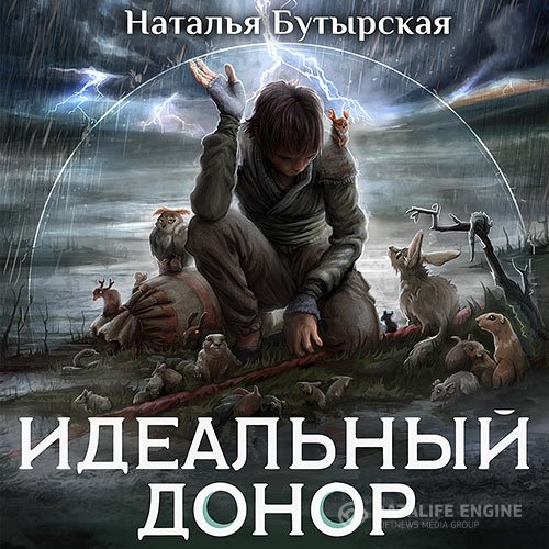 Постер к Наталья Бутырская - Идеальный донор. Герой (Аудиокнига)