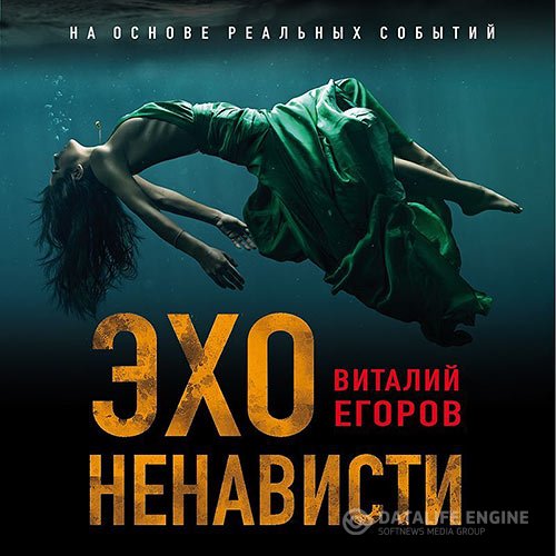 Постер к Виталий Егоров - Эхо ненависти (Аудиокнига)